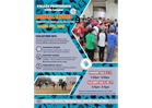 BASEBALL TRYOUTS Minors and Majors